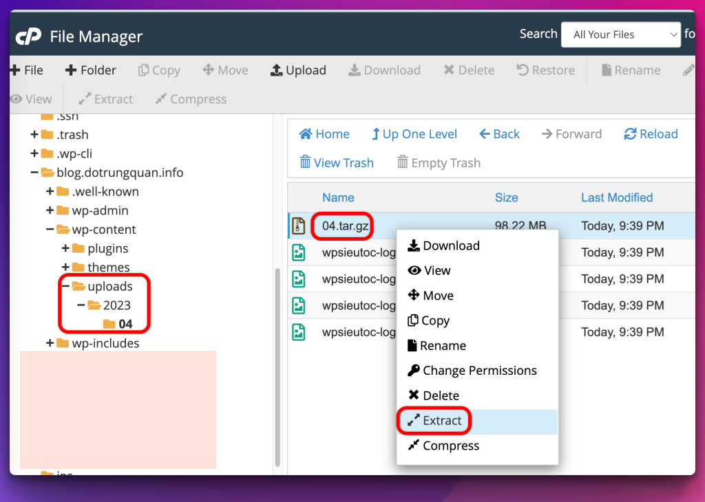 Đồng bộ ảnh trong thư mục wp-content/uploads lên WordPress-Cùi.Vn - IT Community